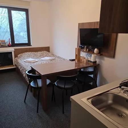 Snow White Bela Reka 50m From Gondola - Free Parking Brzeće