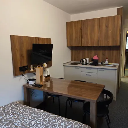 Snow White Bela Reka 50m From Gondola - Free Parking Brzeće